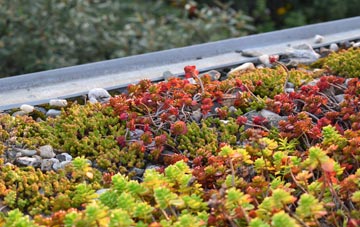 the cost of Little Eaton green roof installation