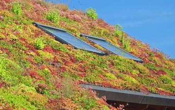 Little Eaton living roof systems